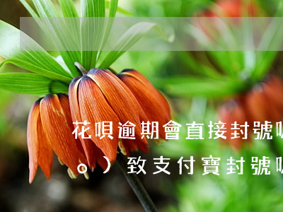 花唄逾期會直接封號嗎(花唄逾期會導(dǎo)致支付寶封號嗎)