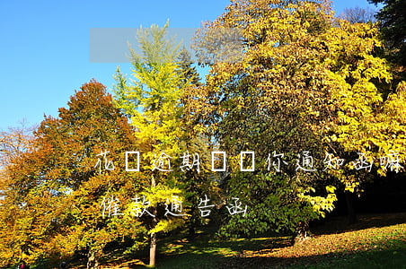 花唄逾期會給你通知函嘛(花唄發(fā)了催款通告函)