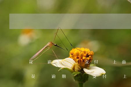 花唄逾期會給支付寶上面的朋友打電話嗎-花唄逾期會給支付寶上面的朋友打電話嗎