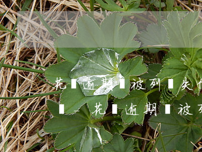花唄逾期會被列為失信被執(zhí)行人嗎-花唄逾期會被列為失信被執(zhí)行人嗎知乎