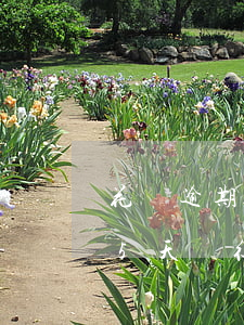 花唄逾期會被爆朋友圈嗎(花唄不小心逾期了5天,對征信有影響嗎)