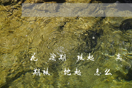 花唄逾期會被起訴嗎?真還不上怎么辦（花唄逾期被異地起訴怎么辦）