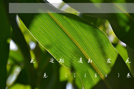 花唄逾期會通知親友嗎(花唄逾期會不會影響緊急聯(lián)系人使用花唄)