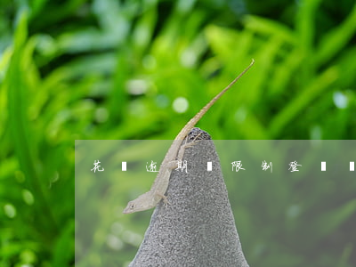 花唄逾期會限制登錄嗎(花唄不能超限了)