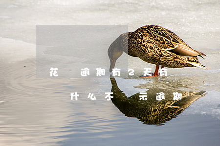 花唄逾期有2天有記錄嗎(花唄逾期三天還款為什么不顯示逾期記錄)