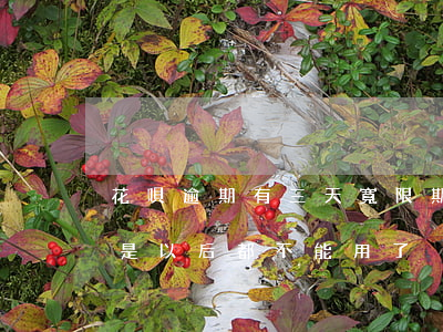 花唄逾期有三天寬限期嗎(花唄逾期三天是不是以后都不能用了?)