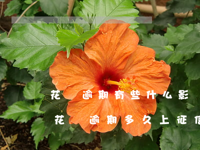 花唄逾期有些什么影響(花唄逾期有什么影響?花唄逾期多久上征信)