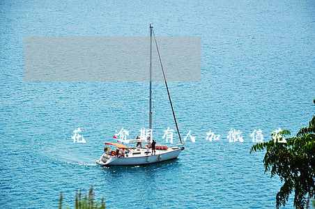花唄逾期有人加微信（花唄逾期律師加微信）