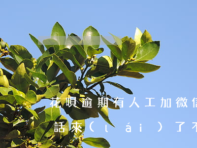 花唄逾期有人工加微信嗎(花唄逾期人工打電話來(lái)了 不還會(huì)怎樣)