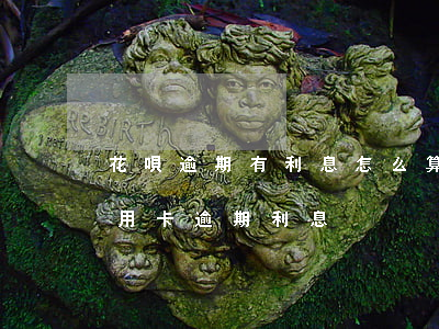 花唄逾期有利息怎么算的(花唄逾期利息和信用卡逾期利息)