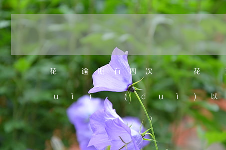 花唄逾期有四次記錄(花唄逾期了幾次 會(huì)對(duì)以后貸款有影響嗎)