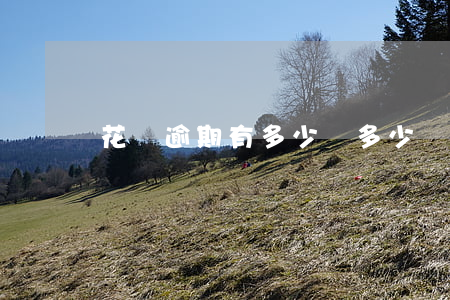 花唄逾期有多少還多少
