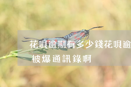 花唄逾期有多少錢(花唄逾期有多少錢,多久會被爆通訊錄啊?)