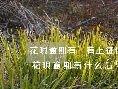 花唄逾期有沒有上征信(支付寶逾期上征信嗎?花唄逾期有什么后果)