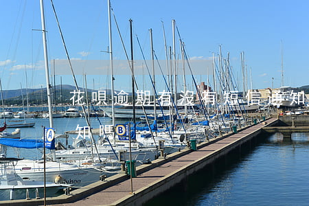 花唄逾期有沒有短信通知(還花唄會有短信通知嗎)