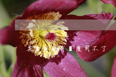 花唄逾期有額度用不了