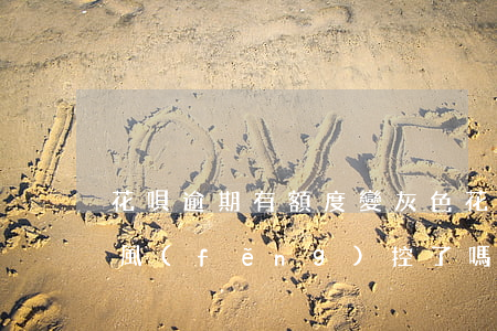 花唄逾期有額度變灰色(花唄額度變灰色才是風(fēng)控了嗎)