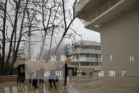 花唄逾期有高風(fēng)險(xiǎn)通知嗎(花唄逾期了幾個(gè)小時(shí)會(huì)有不良后果嗎)