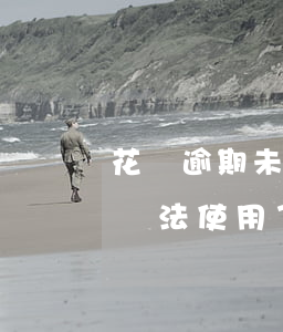 花唄逾期未還不是我花的(花唄顯示逾期,花唄無法使用了,怎么還款)