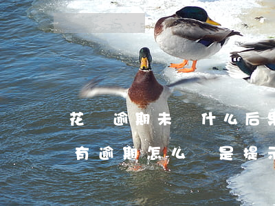花唄逾期未還什么后果(花唄并沒(méi)有逾期怎么還是提示逾期了)