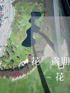 花唄逾期未還但是被凍結(jié)了怎么還-花唄逾期未還但是被凍結(jié)了怎么還款