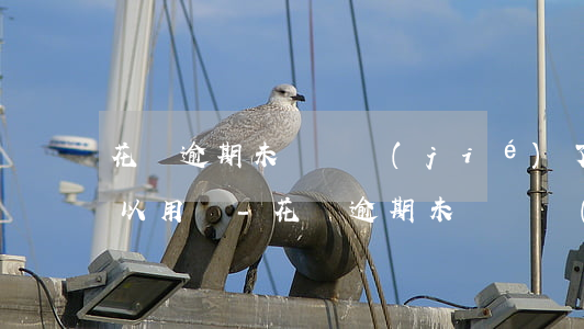 花唄逾期未還凍結(jié)了,還清了還可以用嗎-花唄逾期未還凍結(jié)了,還清了還可以用嗎安全嗎