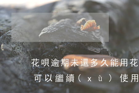 花唄逾期未還多久能用(花唄逾期半年多久才可以繼續(xù)使用花唄)