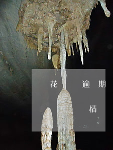 花唄逾期未還的人自述(花唄有逾期還款記錄,這樣情況是無法正常使用花唄的)