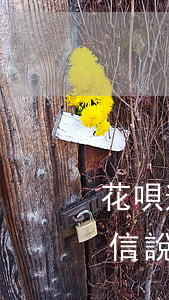 花唄逾期未還短信息內容(花唄發(fā)短信說逾期 但是沒有沒還的呀)