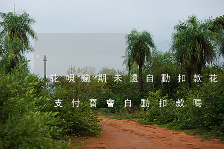 花唄逾期未還自動扣款(花唄逾期未還錢進入支付寶會自動扣款嗎?)