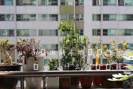 花唄逾期本地號碼催款(花唄逾期打電話催款說今天什么到達戶籍地)