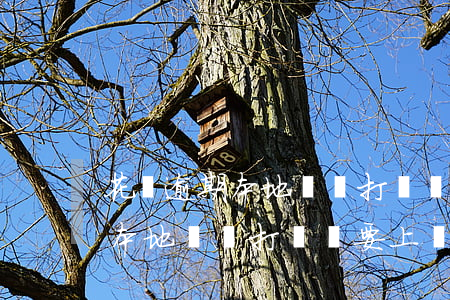 花唄逾期本地電話打來說要上門-花唄逾期本地電話打來說要上門核實