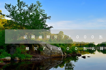 花唄逾期欠了1000怎么算利息-花唄逾期欠了1000怎么算利息的