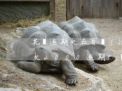 花唄逾期欠五百會(huì)被起訴嗎 花唄欠2000逾期5個(gè)月會(huì)不會(huì)被起訴
