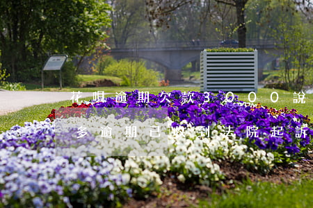 花唄逾期欠款3000說起訴 花唄欠款2萬多逾期已收到法院起訴