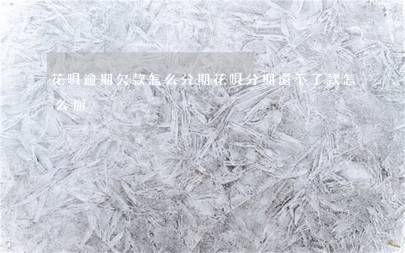 花唄逾期欠款怎么分期(花唄分期還不了款怎么辦)
