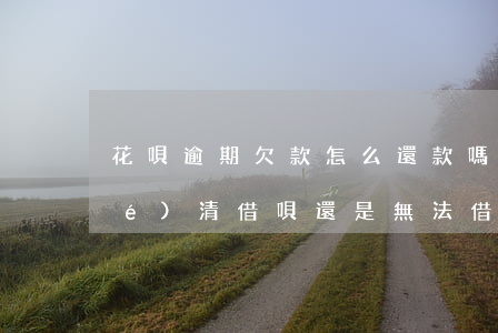 花唄逾期欠款怎么還款嗎(花唄逾期結(jié)清,借唄還是無法借款怎么回事?)