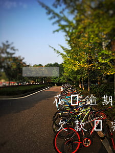 花唄逾期欠款還完什么時候解凍-花唄逾期欠款還完什么時候解凍銀行卡