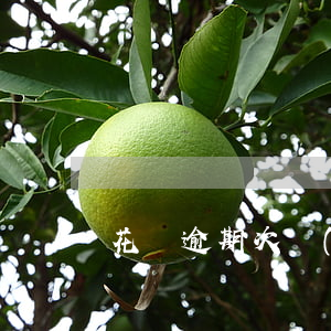 花唄逾期次數(shù)降分多少