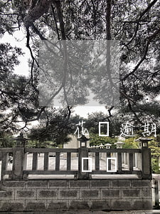 花唄逾期款,花唄逾期款還清,后面的可以慢慢還嗎 花唄逾期款,花唄逾期款還清,后面的可以慢慢還嗎