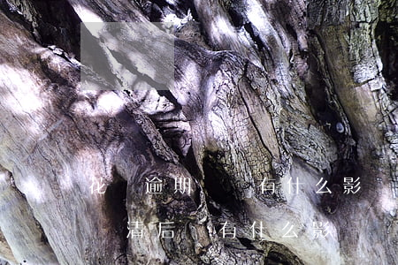 花唄逾期歸還有什么影響(花唄逾期五個月后還清后會有什么影響)