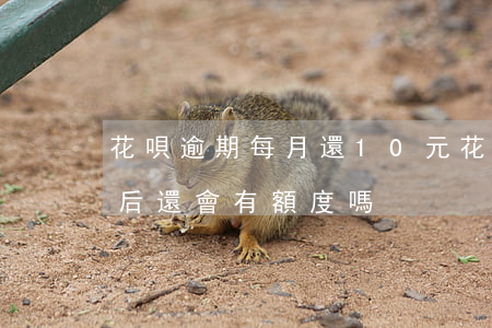 花唄逾期每月還10元(花唄逾期十天還了之后還會有額度嗎)