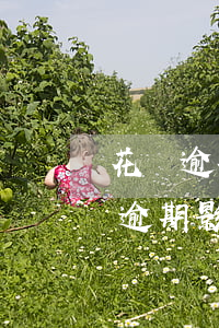 花唄逾期比信用卡嚴(yán)重嗎(信用卡逾期影響花唄借唄的使用嗎)
