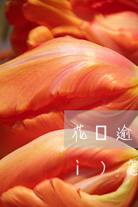 花唄逾期沒(méi)一次性還完會(huì)怎么樣-