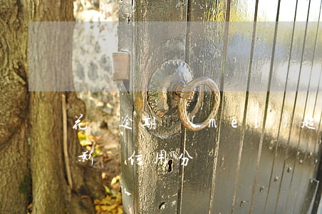 花唄逾期沒(méi)超過(guò)一天影響信用分嗎