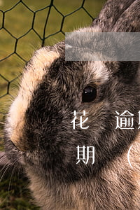 花唄逾期沒(méi)還利息怎么算(花唄到期沒(méi)還利息怎么算)