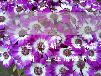 花唄逾期沒上征信能不能辦信用卡-花唄逾期沒上征信能不能辦信用卡呢