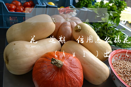 花唄逾期沒信用怎么搞(花唄沒逾期為什么花唄會(huì)出現(xiàn)無法使用花唄)