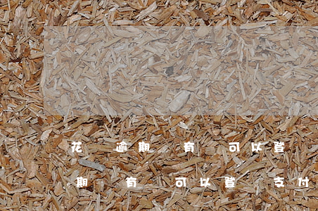 花唄逾期沒有還可以登錄支付寶嗎-花唄逾期沒有還可以登錄支付寶嗎安全嗎