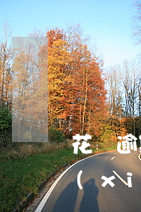 花唄逾期沒還上怎么辦(花唄逾期了但是我現(xiàn)在想還款還不上怎么辦)